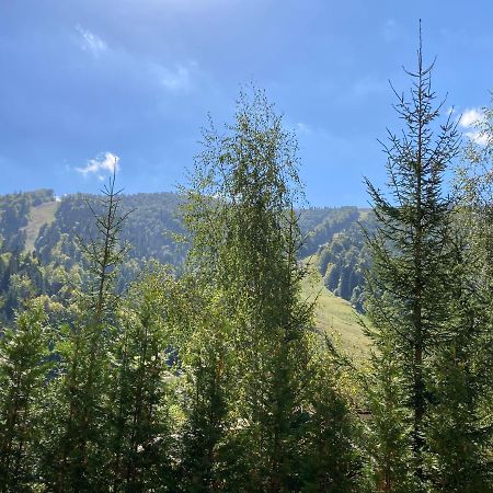 אזוגה Ski View Studio - Near The Ski Slopes מראה חיצוני תמונה