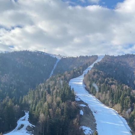 אזוגה Ski View Studio - Near The Ski Slopes מראה חיצוני תמונה