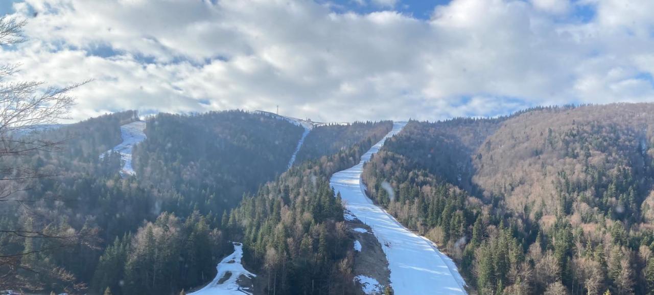 אזוגה Ski View Studio - Near The Ski Slopes מראה חיצוני תמונה