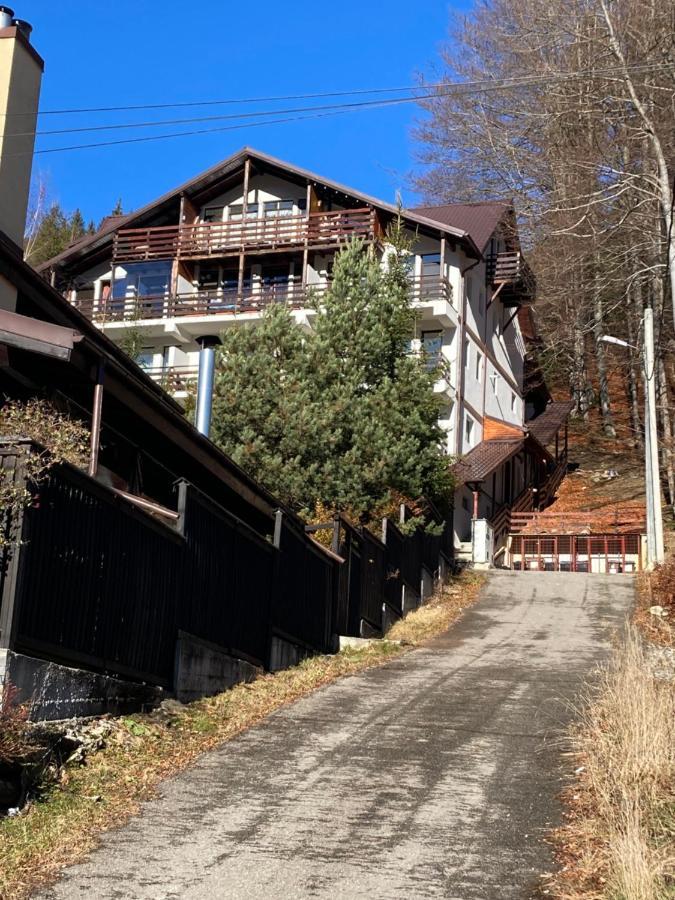 אזוגה Ski View Studio - Near The Ski Slopes מראה חיצוני תמונה