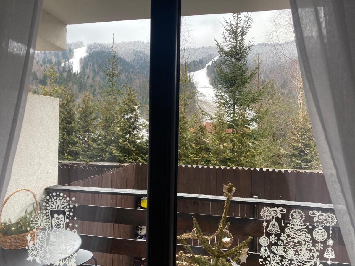 אזוגה Ski View Studio - Near The Ski Slopes מראה חיצוני תמונה